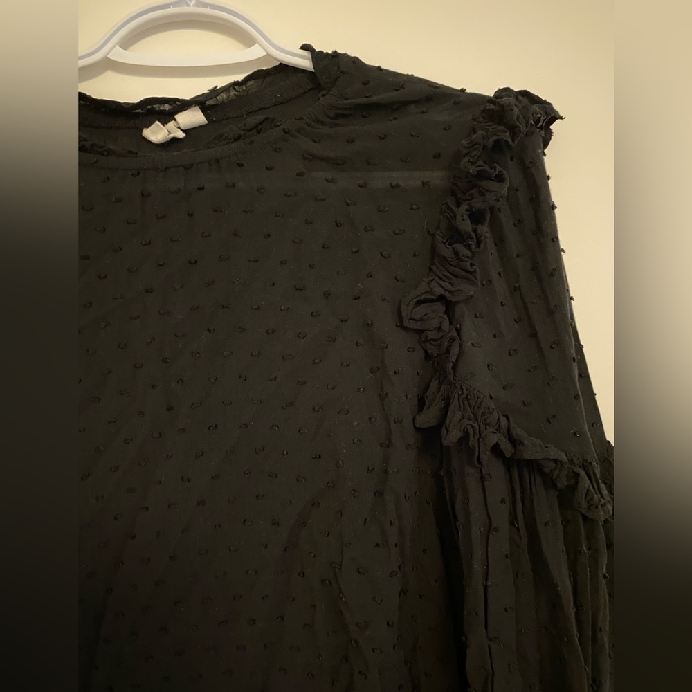 GAP Detailed Sheer Frilly Top